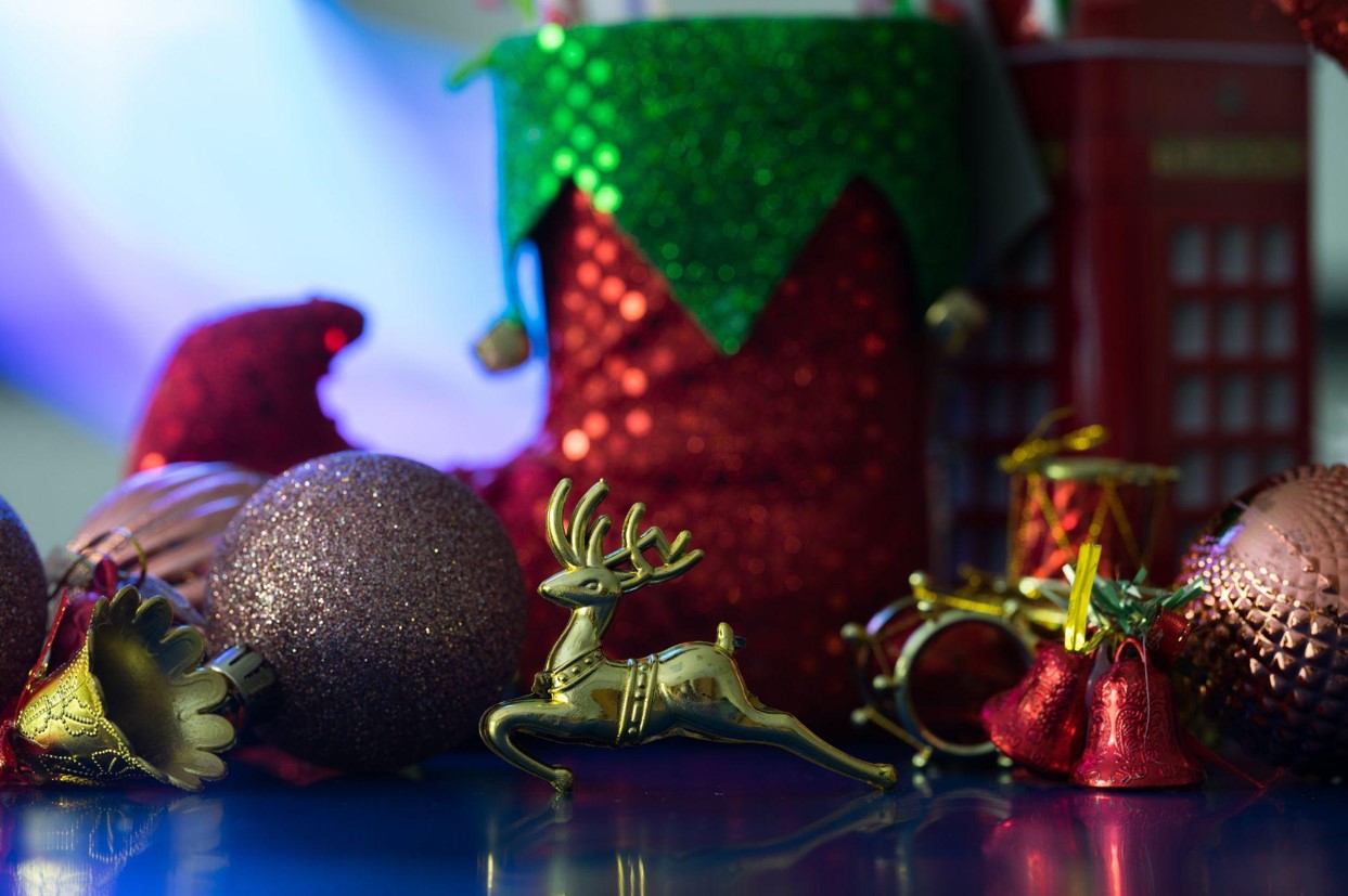 Find the Perfect Christmas Tree for Your Home